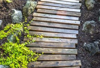 5PF - Pallet Wood Walkway