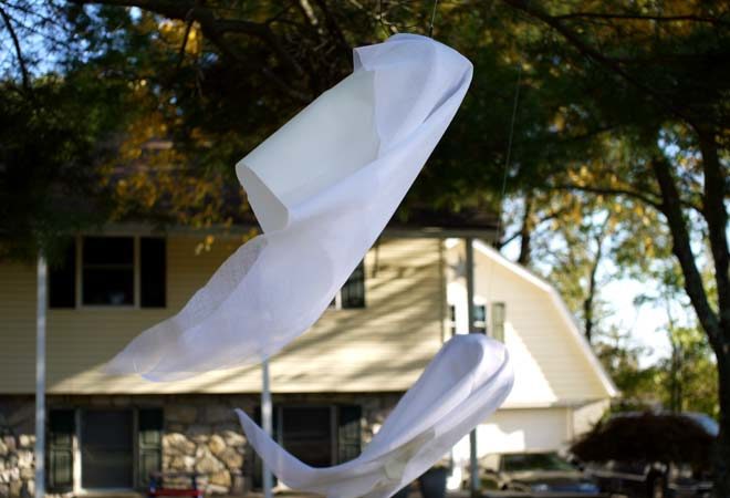 fabric ghosts hanging from a tree branch