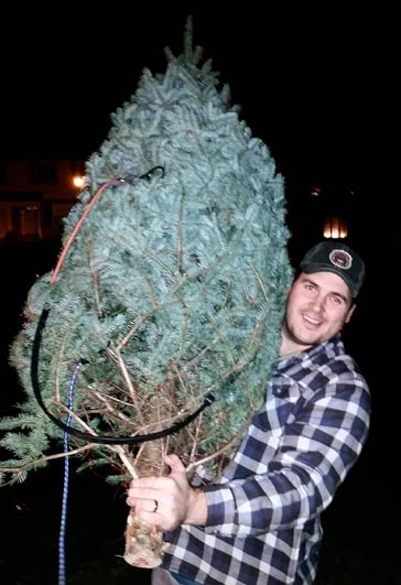 Andrew carrying a christmas tree